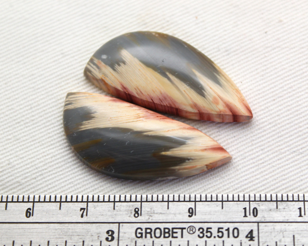Rare Pair of Fossil Wood freeform gemstone