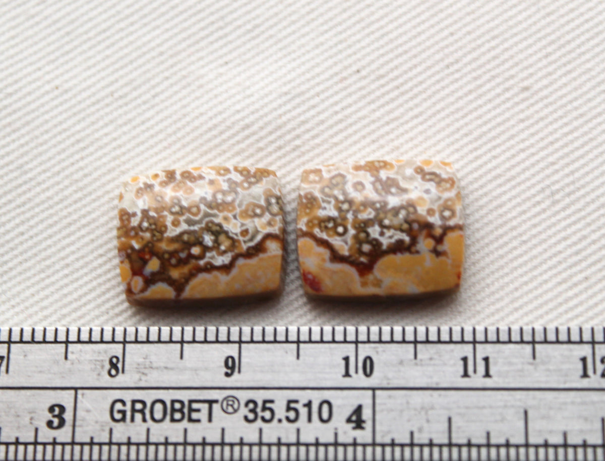 SMALL River Jasper Cabochon Pair Gemstone rectangle cushion