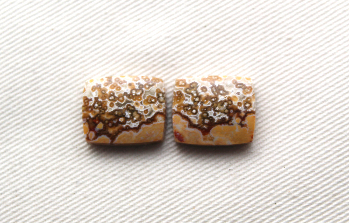 SMALL River Jasper Cabochon Pair Gemstone rectangle cushion