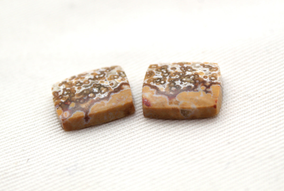 SMALL River Jasper Cabochon Pair Gemstone rectangle cushion