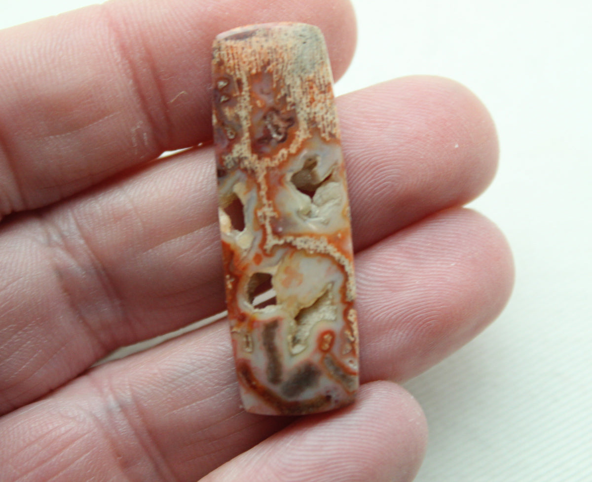 Fossil Palmwood Cabochon Pair Gemstone with druzy pockets rectangle