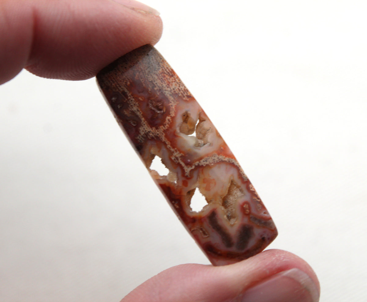Fossil Palmwood Cabochon Pair Gemstone with druzy pockets rectangle