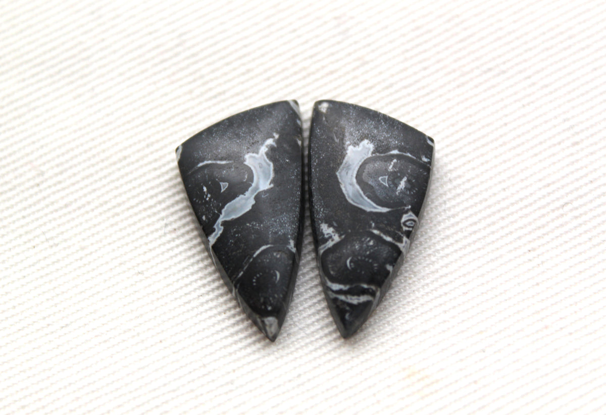 Small Black Palm Root Cabochon Pair natural gemstones