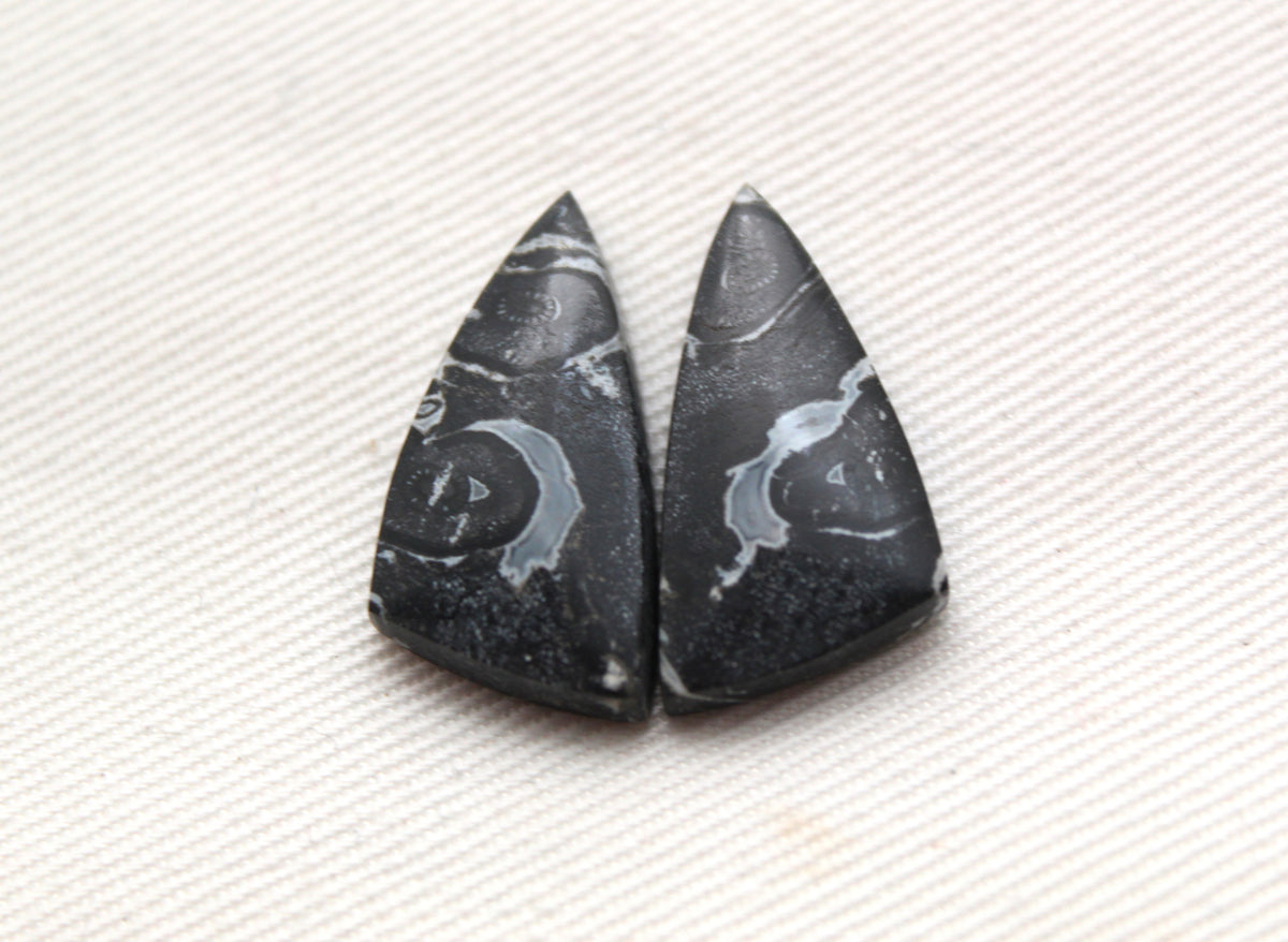 Small Black Palm Root Cabochon Pair natural gemstones