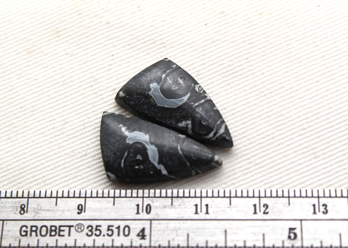 Small Black Palm Root Cabochon Pair natural gemstones