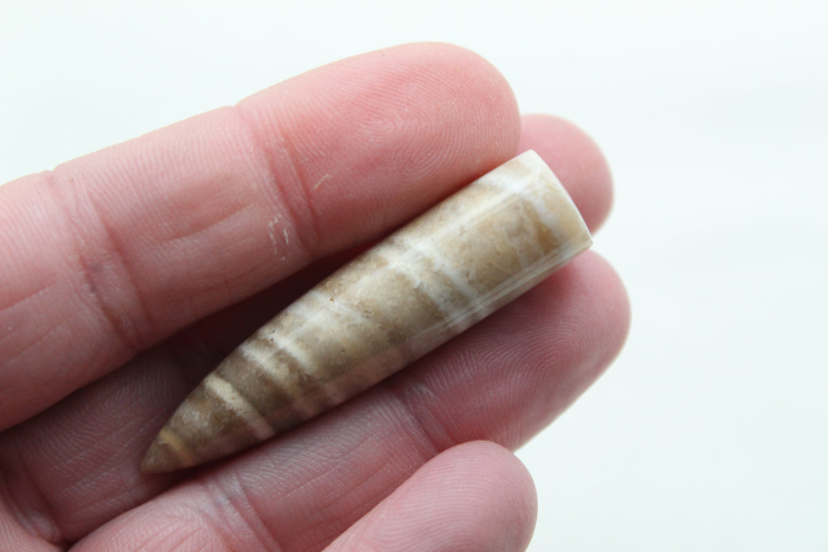 Banded beige jasper bullet Gemstone 48MM UNDRILLED