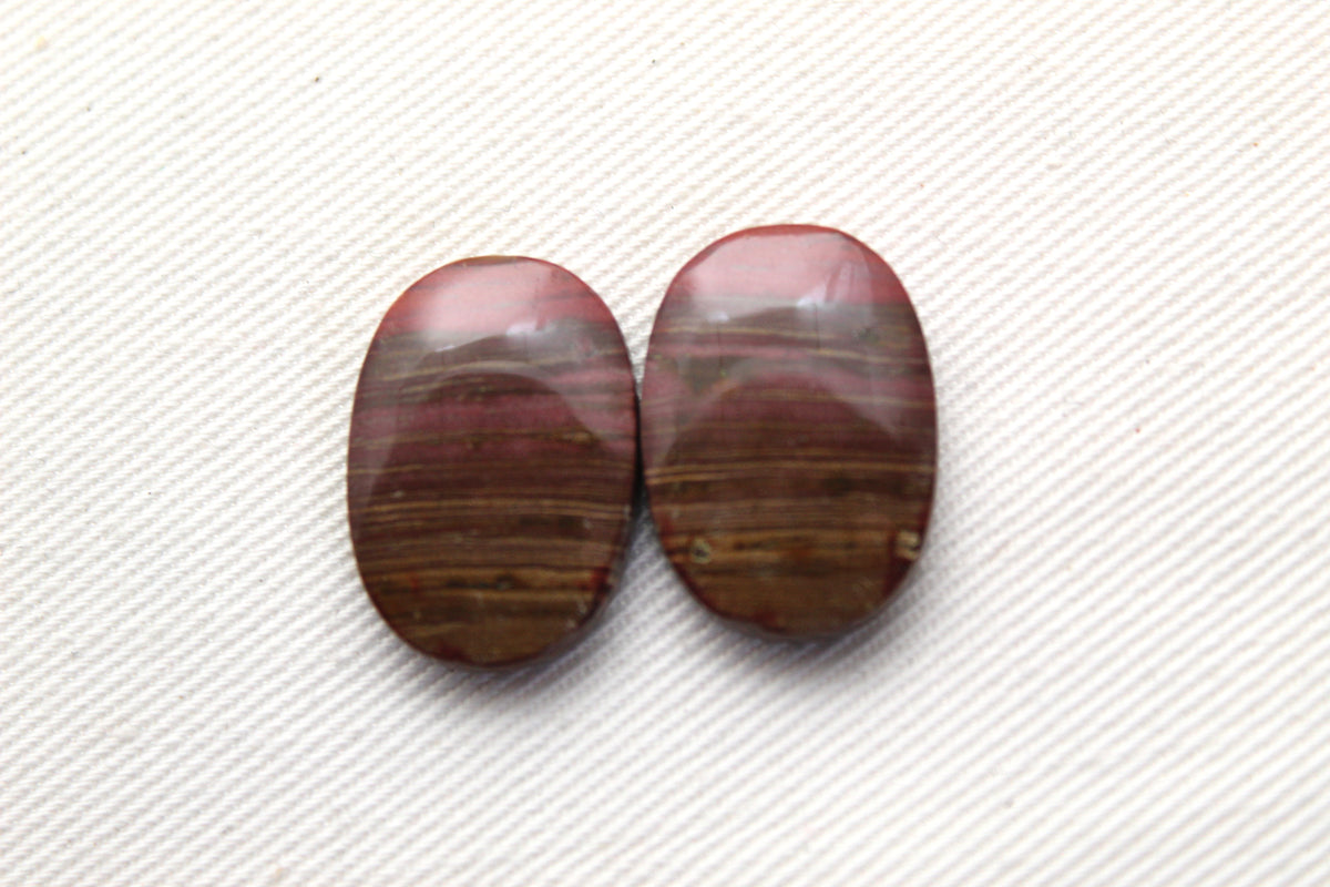 Small Petrified Wood Cabochon Pair natural gemstones