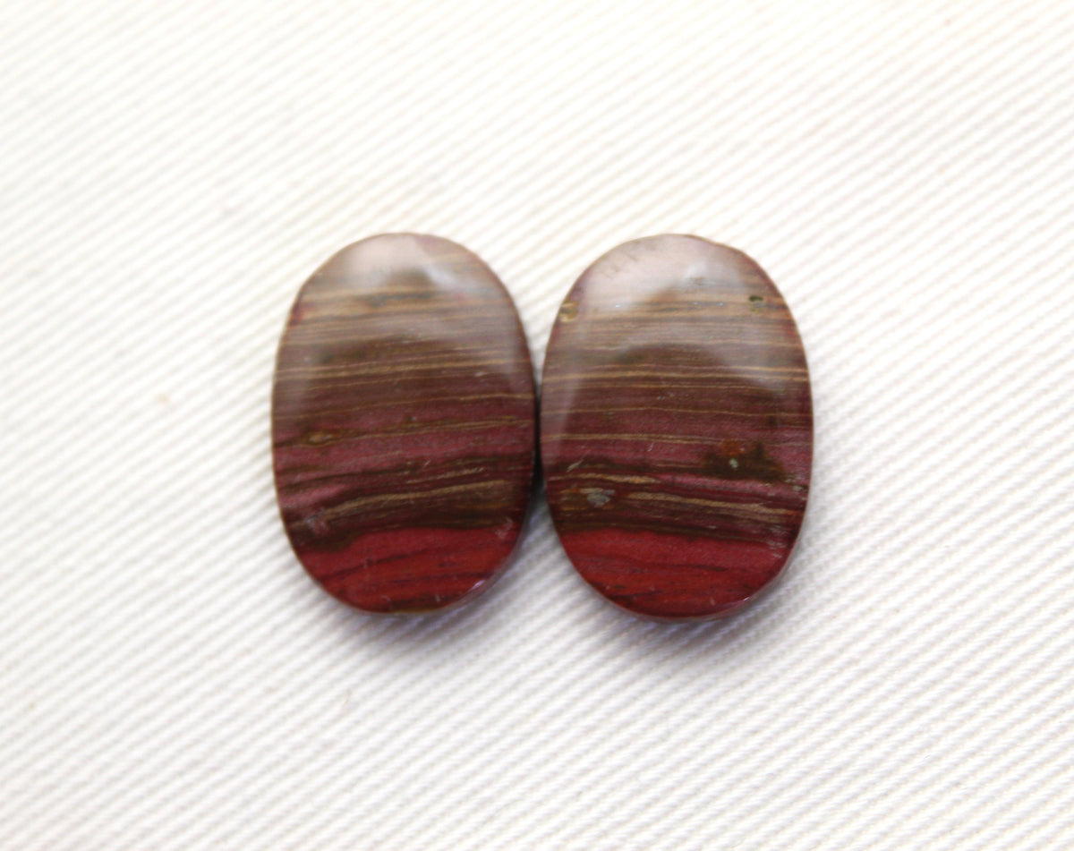 Small Petrified Wood Cabochon Pair natural gemstones