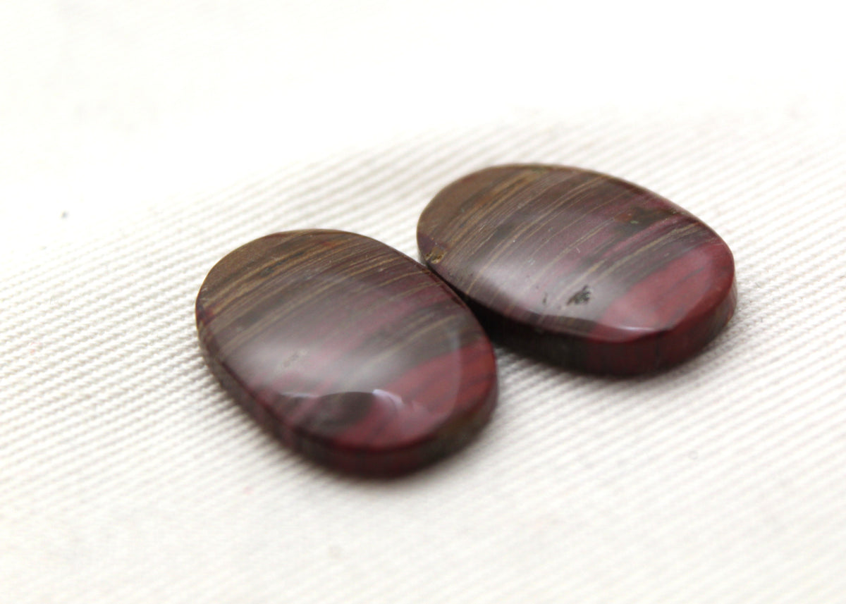 Small Petrified Wood Cabochon Pair natural gemstones