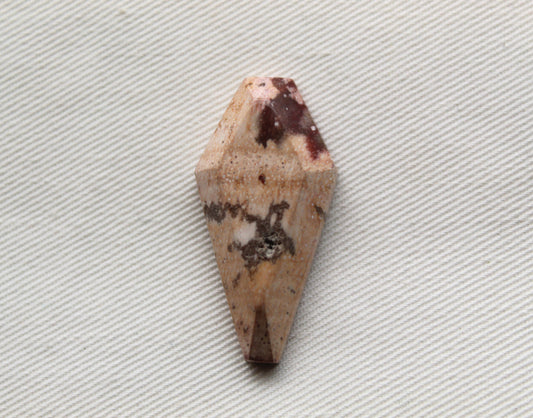 Coffin Petrified wood Cabochon beige large