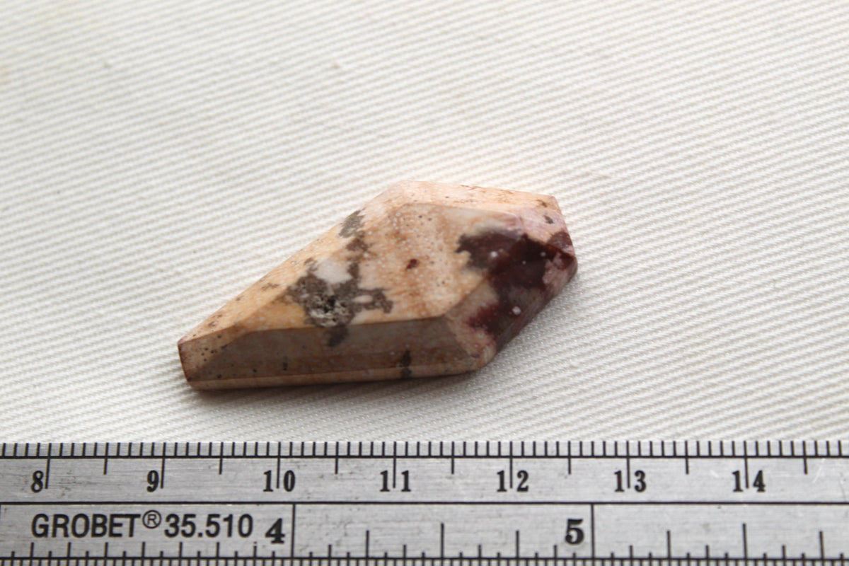 Coffin Petrified wood Cabochon beige large