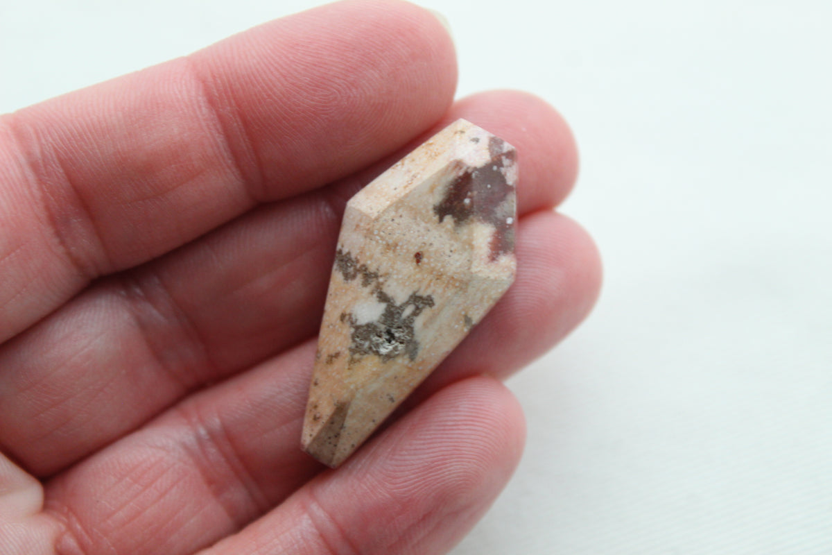 Coffin Petrified wood Cabochon beige large