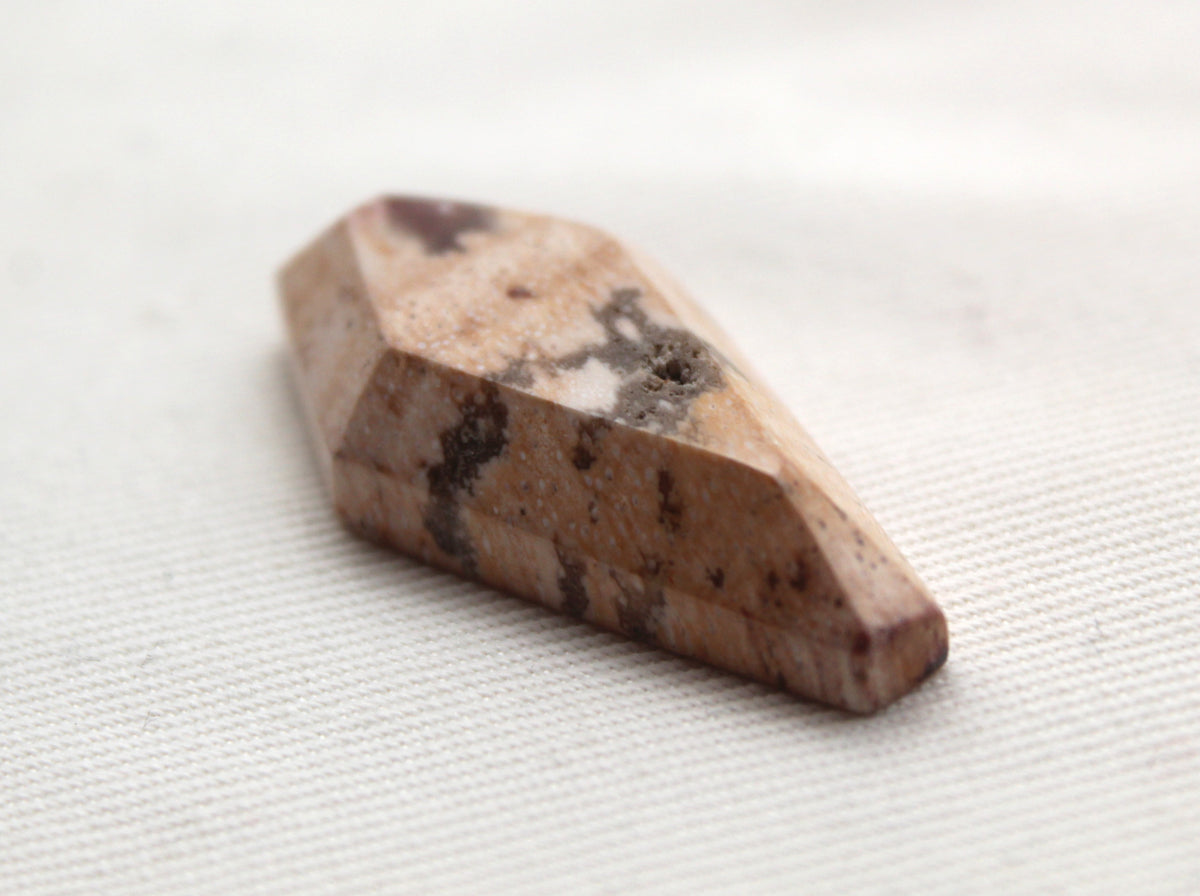 Coffin Petrified wood Cabochon beige large