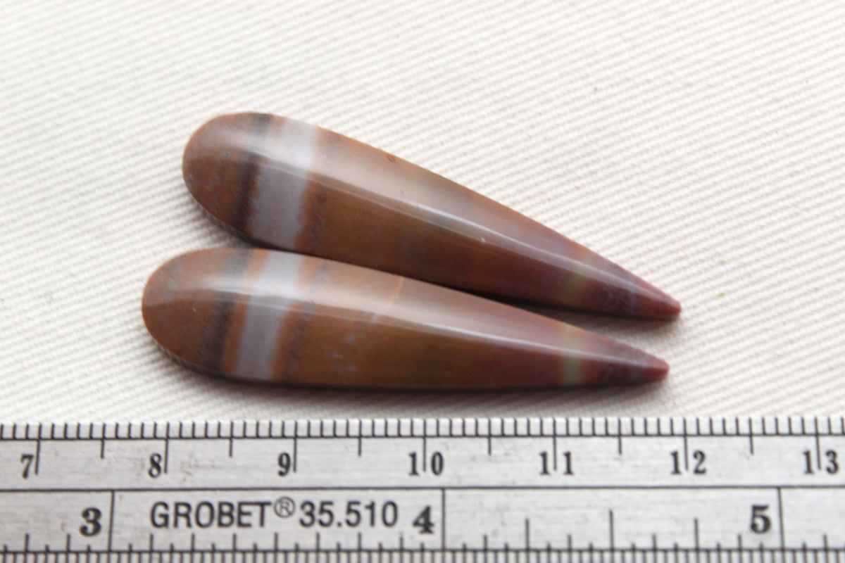 Long Pair of Petrified Wood Cisero Cabochons