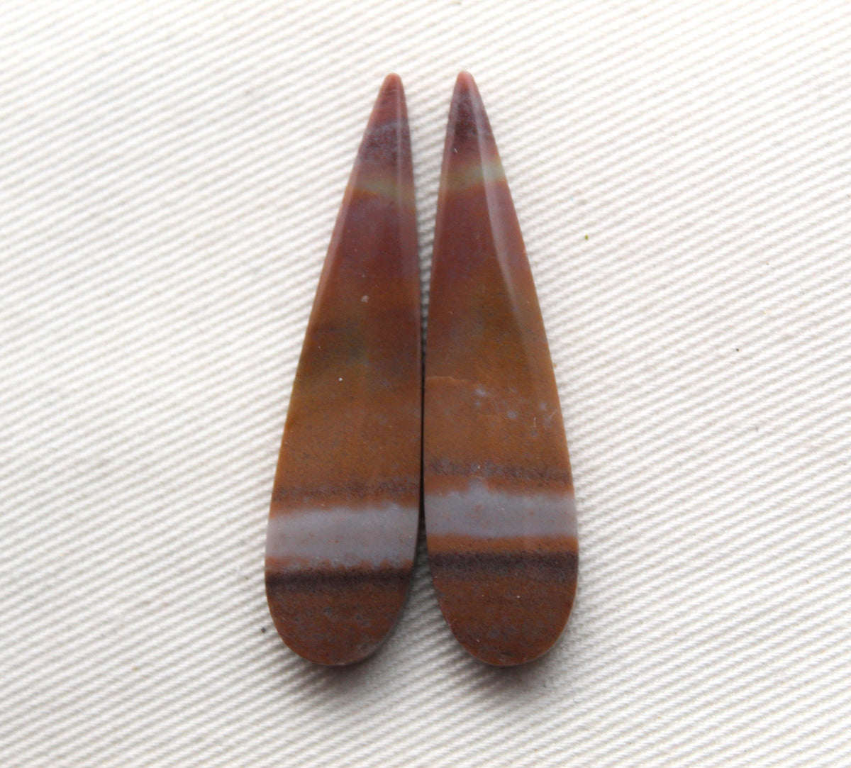 Long Pair of Petrified Wood Cisero Cabochons