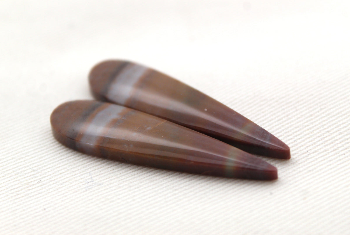 Long Pair of Petrified Wood Cisero Cabochons