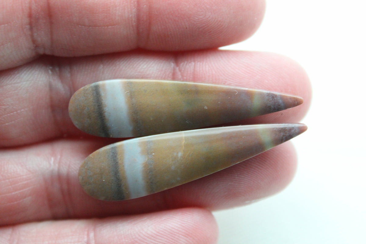 Long Pair of Petrified Wood Cisero Cabochons