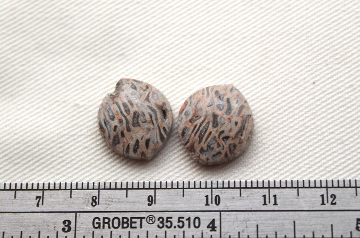 SMALL Fossil Palmwood Cabochon Pair Gemstone with druzy pockets