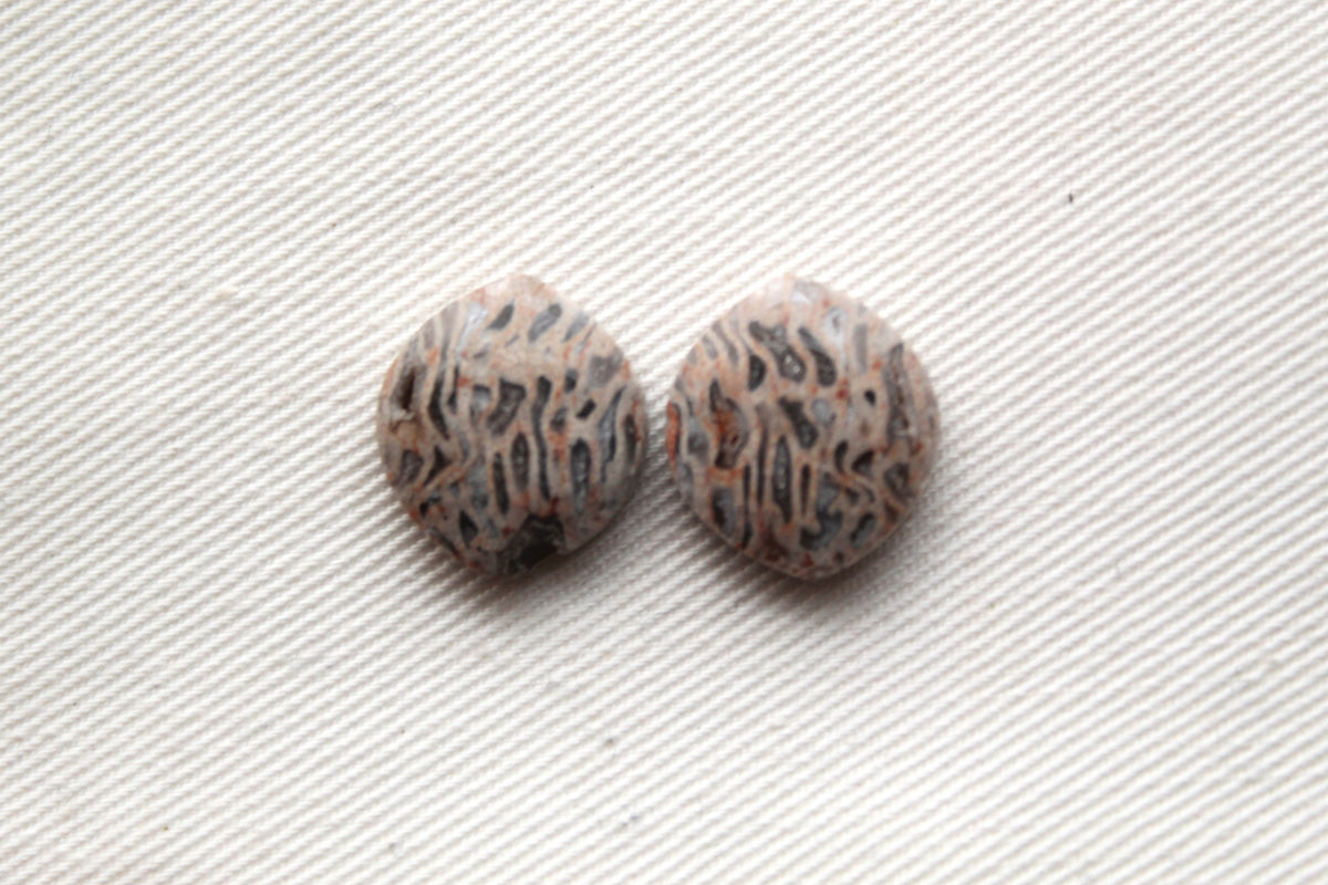 SMALL Fossil Palmwood Cabochon Pair Gemstone with druzy pockets
