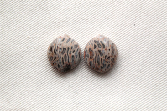 SMALL Fossil Palmwood Cabochon Pair Gemstone with druzy pockets