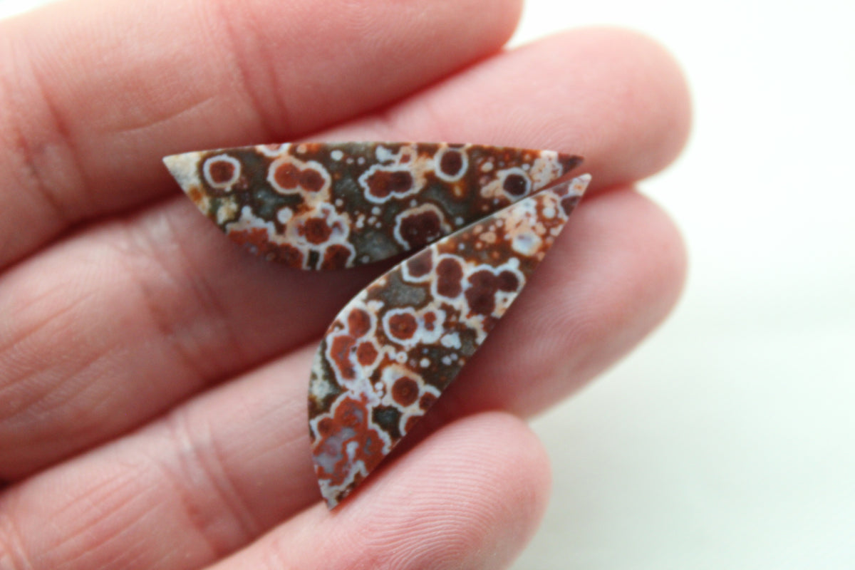 Thin River Jasper Cabochon Pair Gemstone triangle