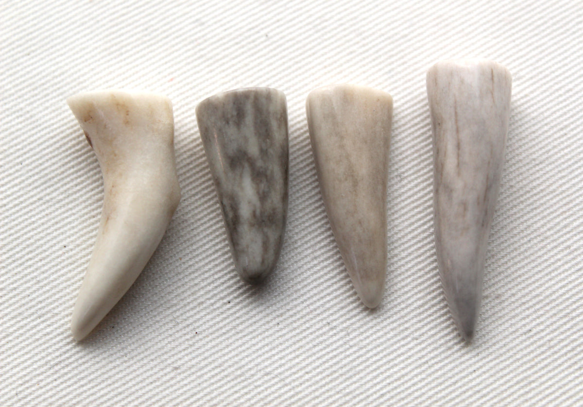 FOUR small deer antlers tips UNDRILLED naturally shed