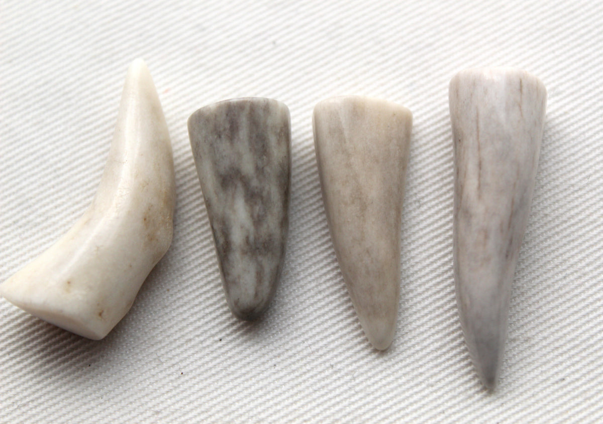 FOUR small deer antlers tips UNDRILLED naturally shed