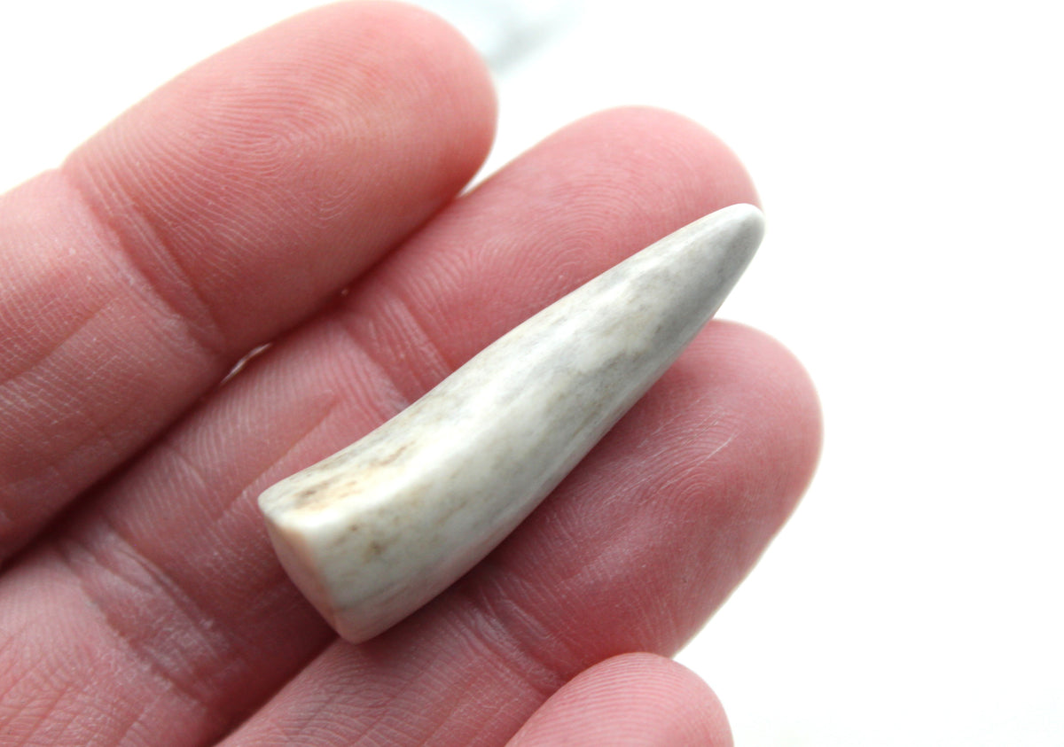 FOUR small deer antlers tips UNDRILLED naturally shed