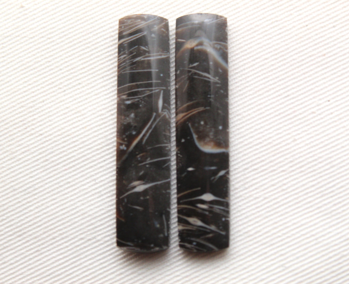 Feather Agate Cabochons Pair Gemstone rectangle