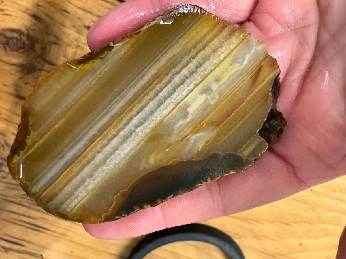 Lot of two small Waterline Agate Natural Stone Slabs