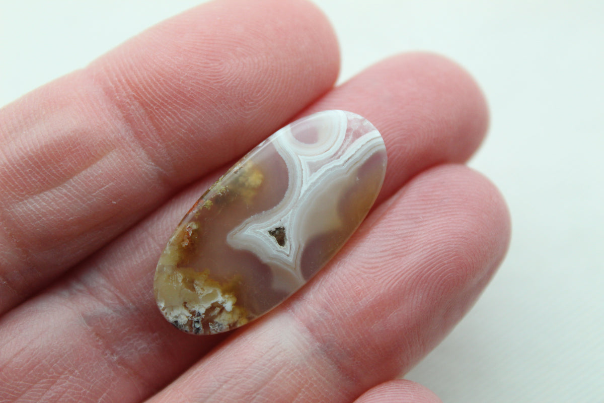 Orbicular Agate Cabochons Pair Gemstone natural Oval