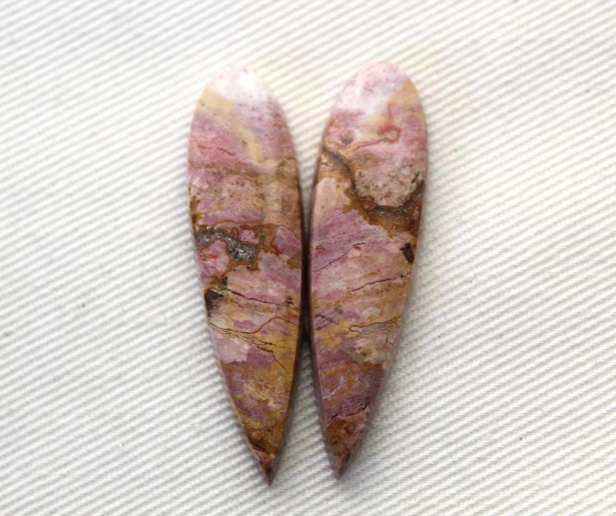 Pink Fossil Wood Pair of Gemstones cabochon natural teardrop