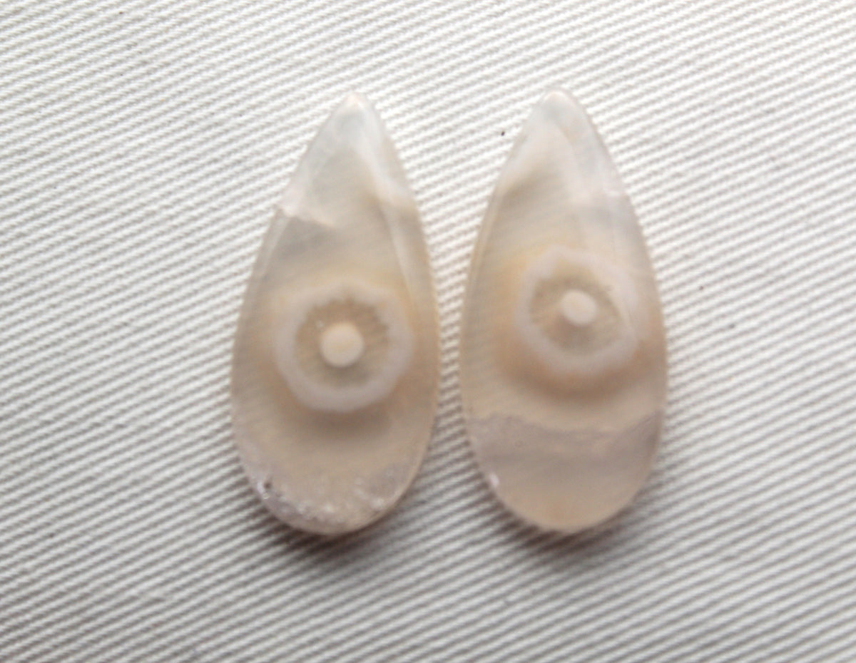 Orbicular Agate Cabochons Pair Gemstone natural teardrop