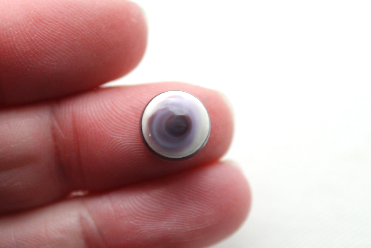 TWO Wampum Quahog Shell round 10MM purple