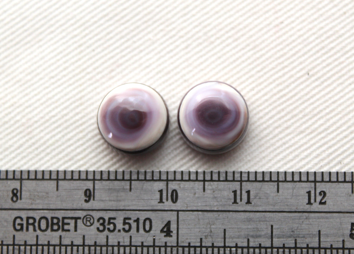 TWO Wampum Quahog Shell round 10MM purple