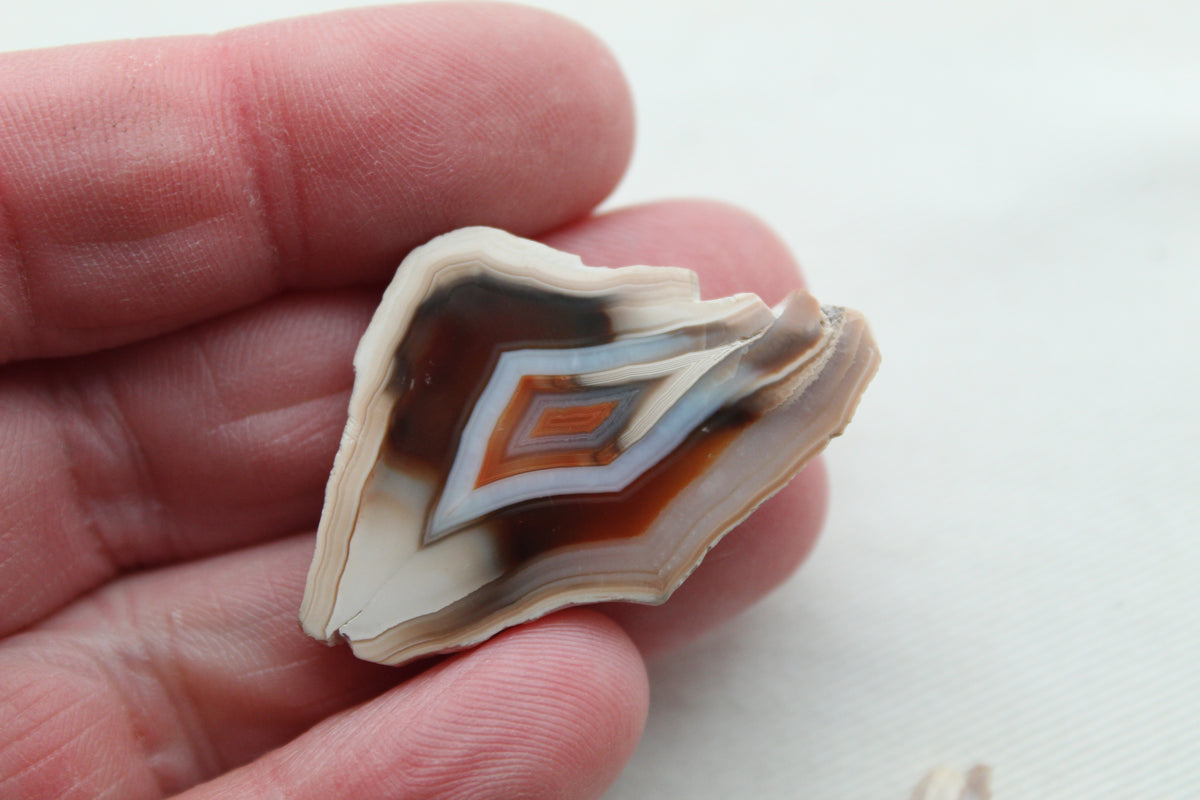 Sliced Agate Pair Gemstones freeform natural