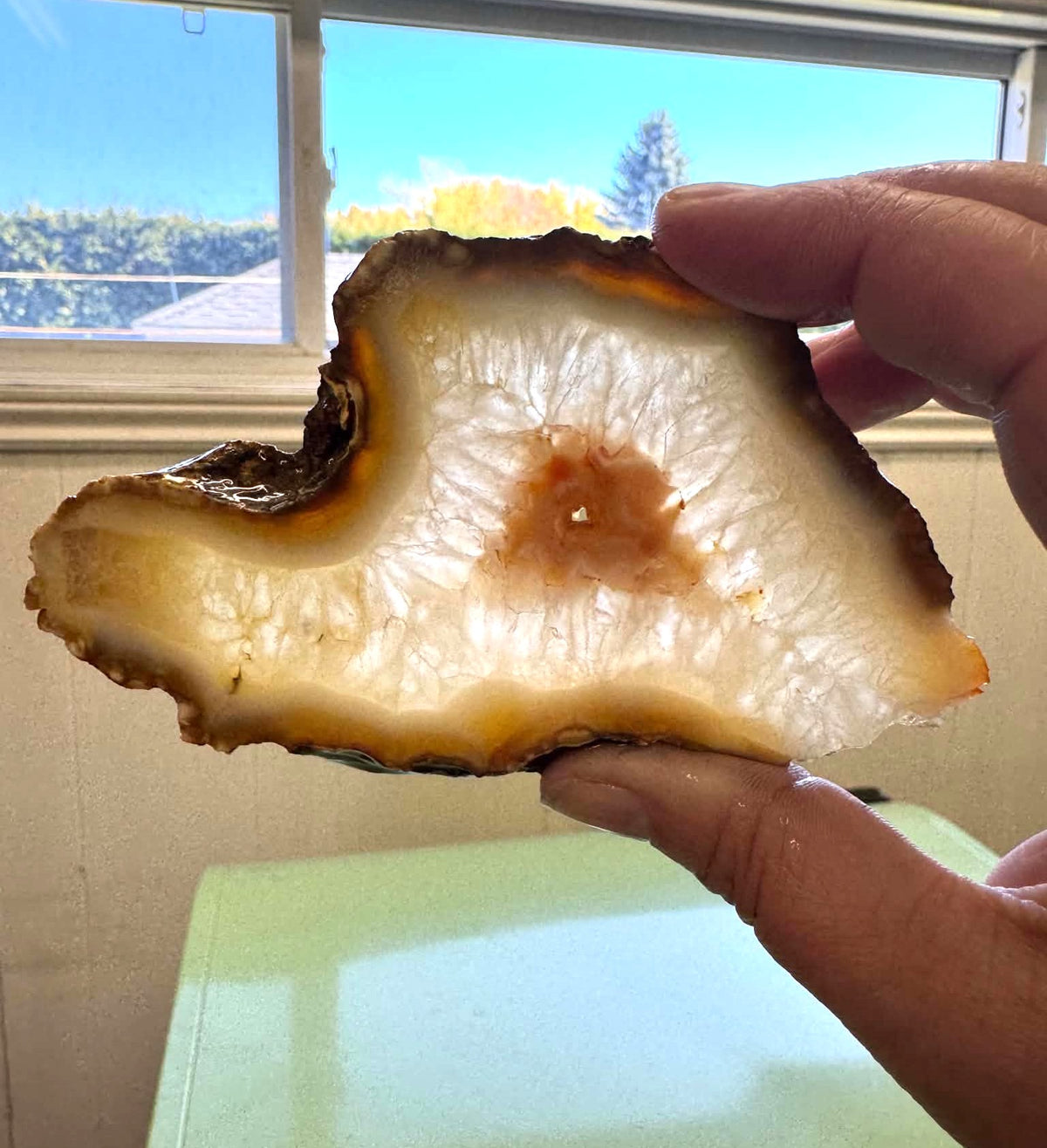 TWO Sumatra Agate Natural Stone Slabs