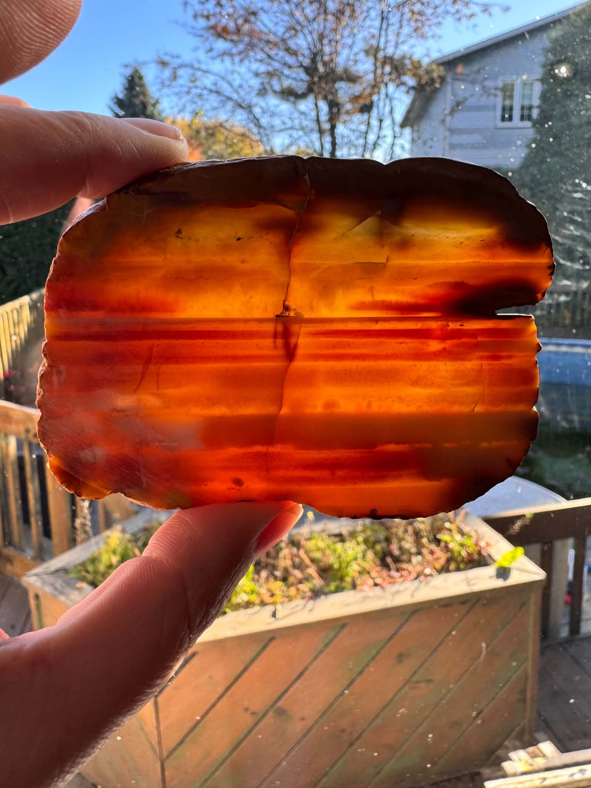 Lot of two Waterline Agate Natural Stone Slabs red