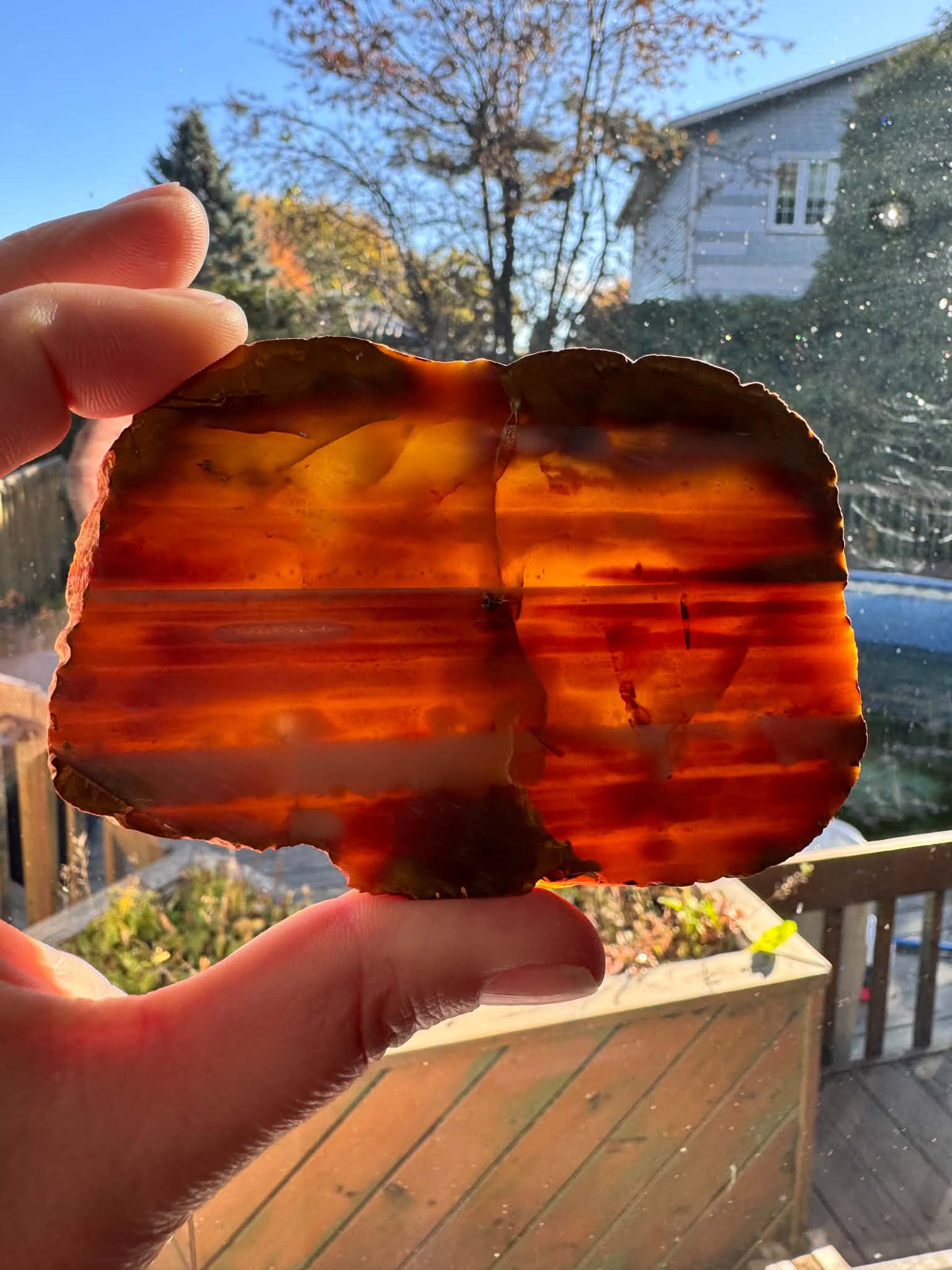 Lot of two Waterline Agate Natural Stone Slabs red