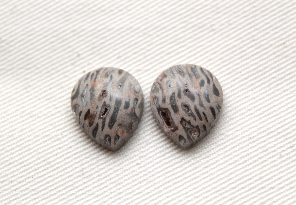 SMALL Fossil Palmwood Cabochon Pair Gemstone with druzy pockets