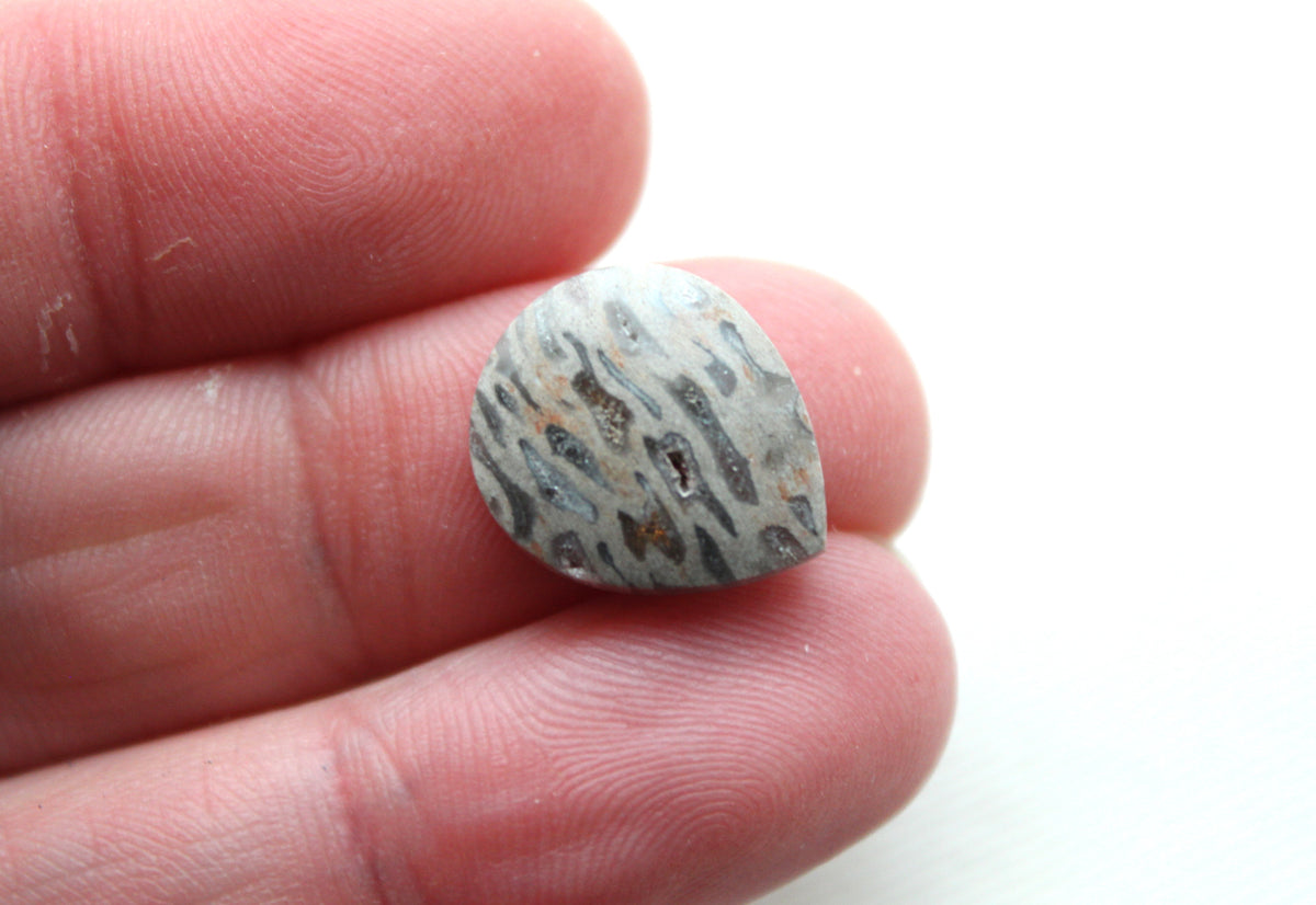 SMALL Fossil Palmwood Cabochon Pair Gemstone with druzy pockets