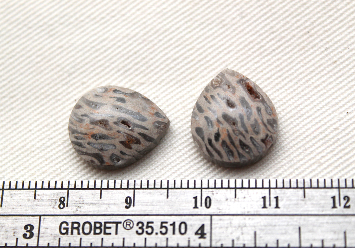 SMALL Fossil Palmwood Cabochon Pair Gemstone with druzy pockets