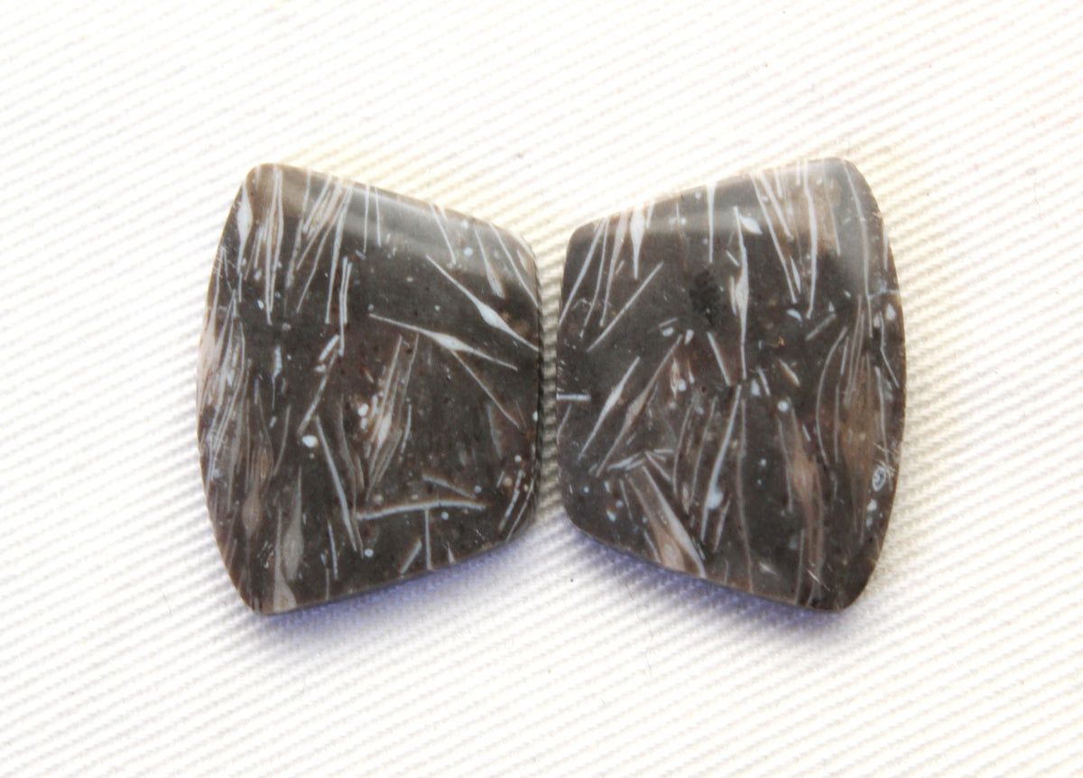 Plume Agate Pair Cabochon Gemstones freeform