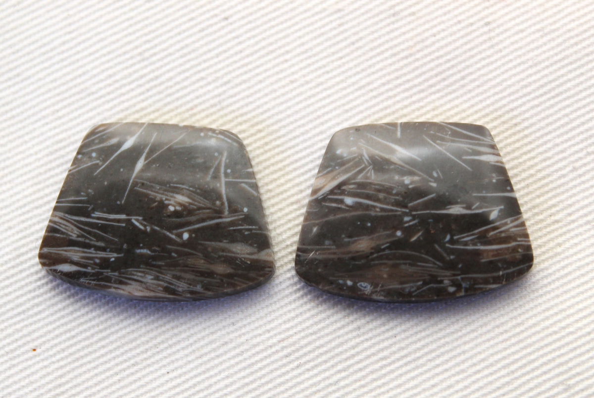 Plume Agate Pair Cabochon Gemstones freeform