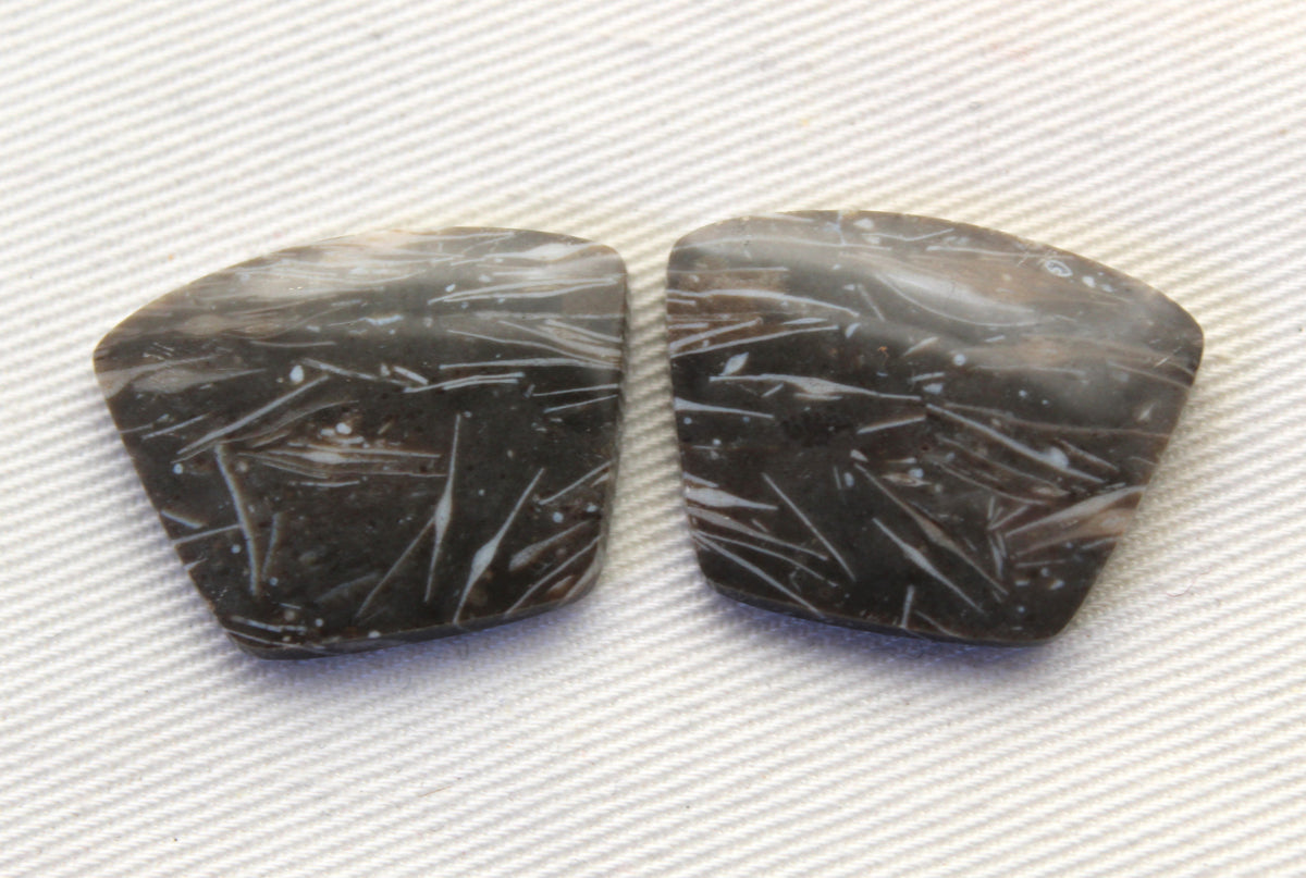 Plume Agate Pair Cabochon Gemstones freeform