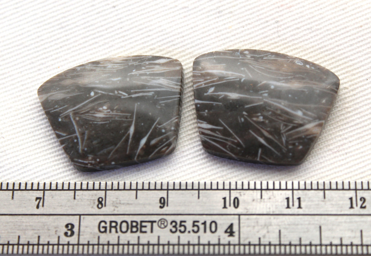 Plume Agate Pair Cabochon Gemstones freeform