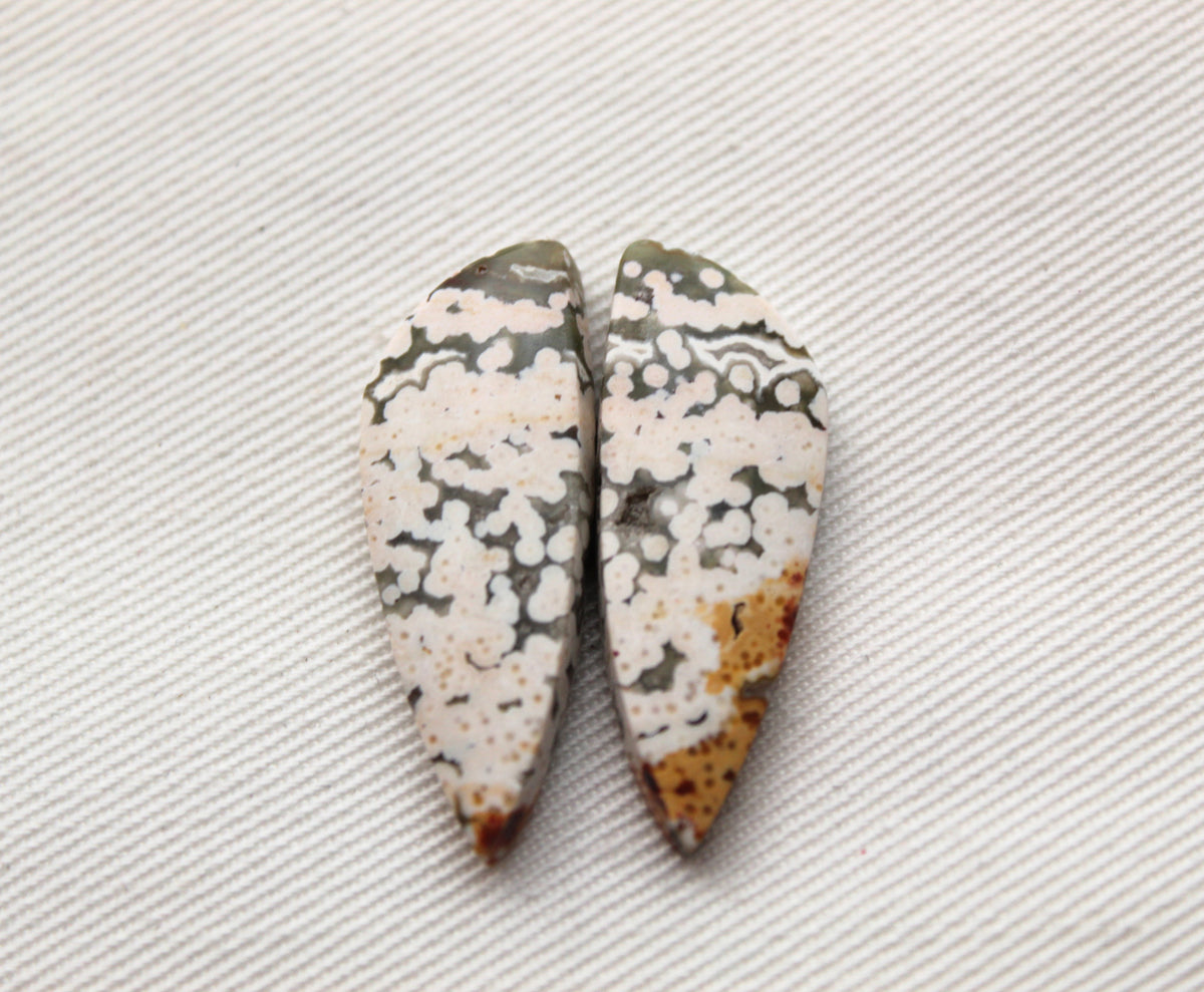 Orbicular Jasper Cabochon Pair Gemstone