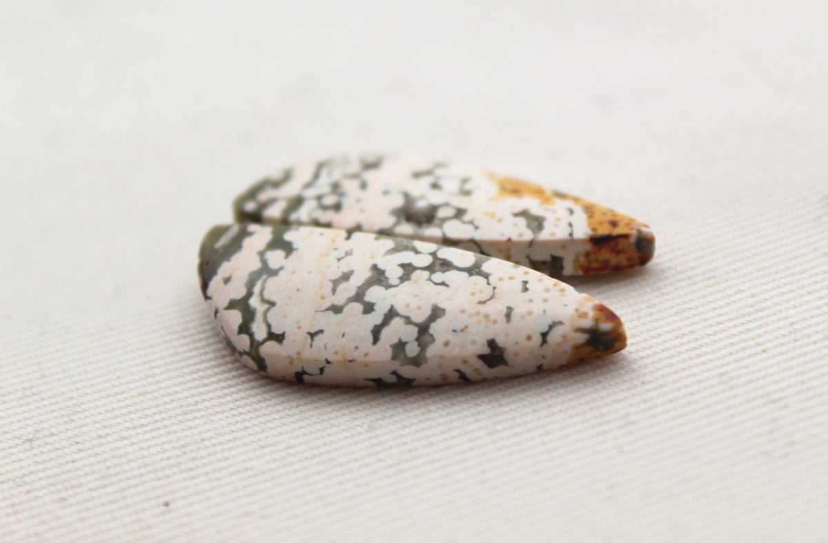 Orbicular Jasper Cabochon Pair Gemstone