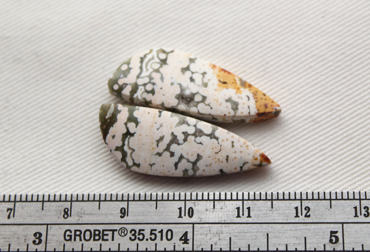 Orbicular Jasper Cabochon Pair Gemstone