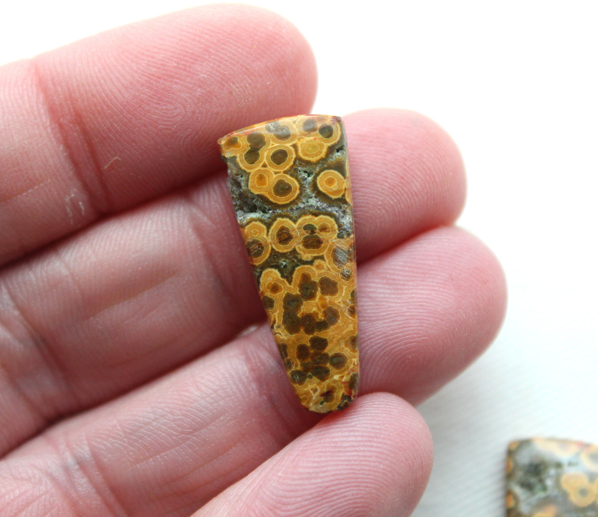 River Jasper Cabochon Pair Gemstone green orange with druzy